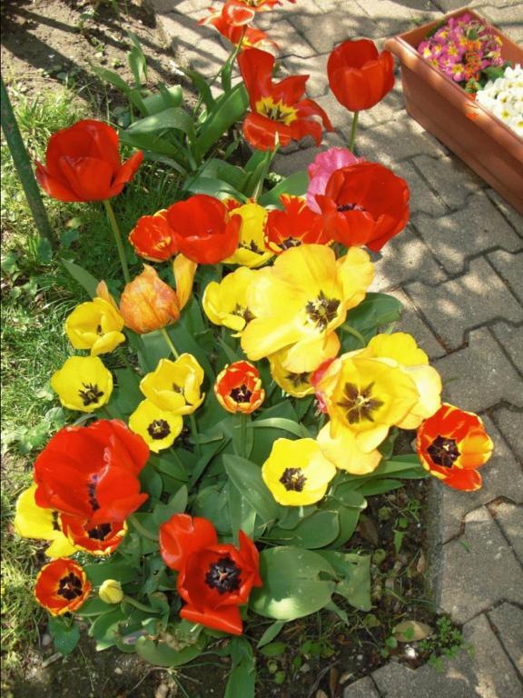 Au Saint Roch - Hotel Et Jardin Awinion Zewnętrze zdjęcie